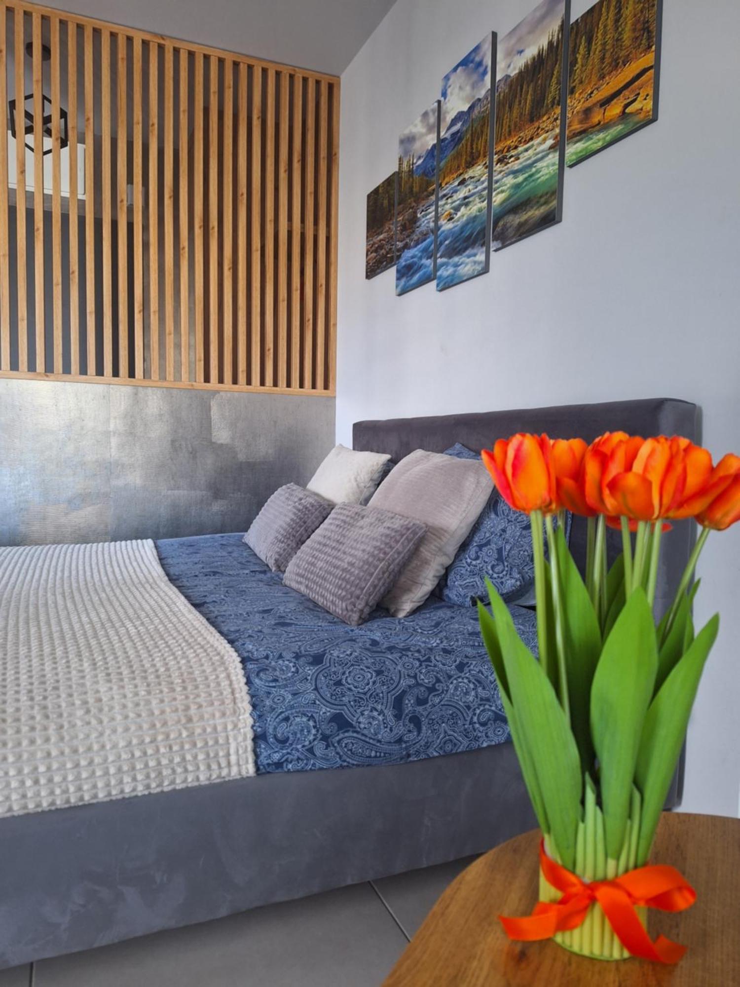 Apartament Gorska Szarotka Nowy Targ Εξωτερικό φωτογραφία