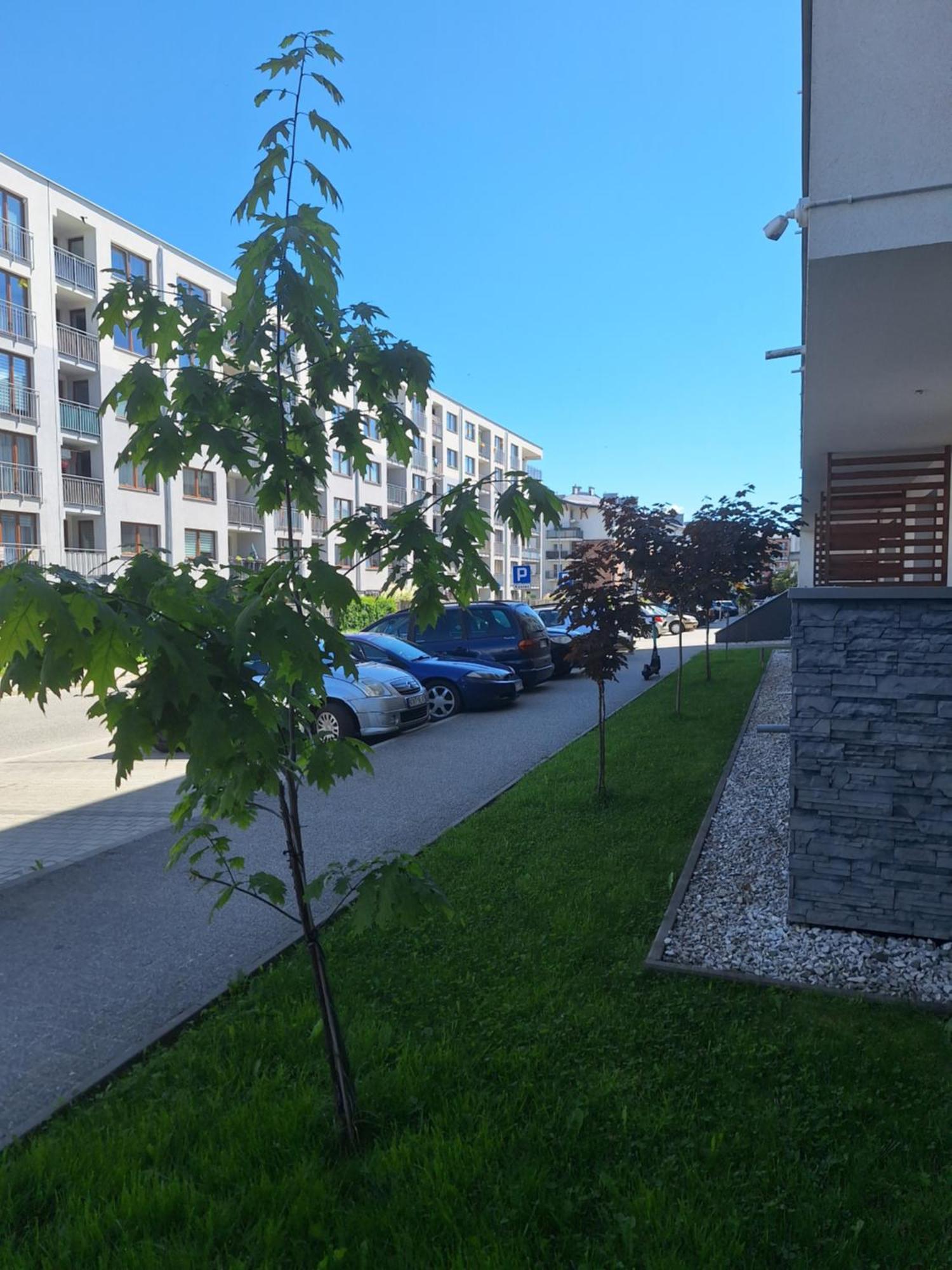 Apartament Gorska Szarotka Nowy Targ Εξωτερικό φωτογραφία